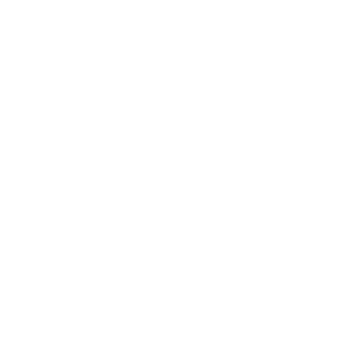 slayhausefashion